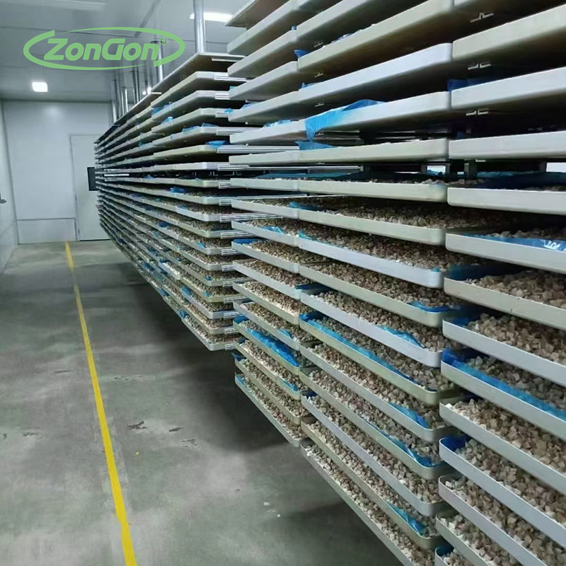 山東大蒜金鄉(xiāng)特產(chǎn)真空凍干機(jī) 大蒜片大蒜粉加工設(shè)備 出口品質(zhì) 高效