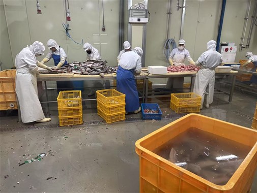 你知道袋裝即食魚應該如何殺菌效果更好嗎？